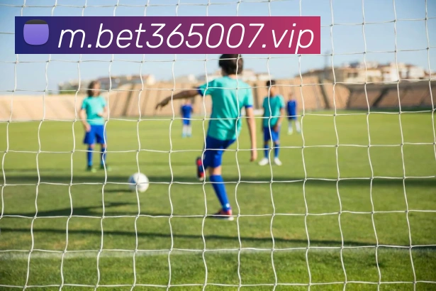 bet365中国官网APP 封面图